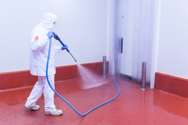 Best Playground Equipment Cleaning  in Exton, PA